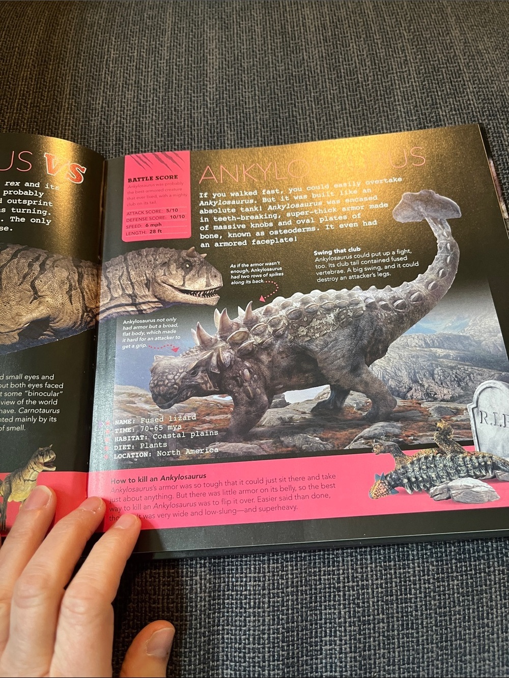 Scholastic Dinosaur Face Off! Book action packed with photos on every page - Picture 6 of 12